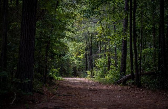 22242 Junction Peak Drive, Porter, TX 77365