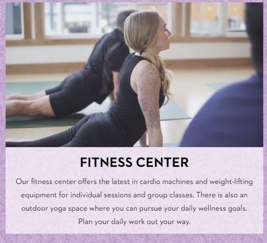 22242 Junction Peak Drive, Porter, TX 77365