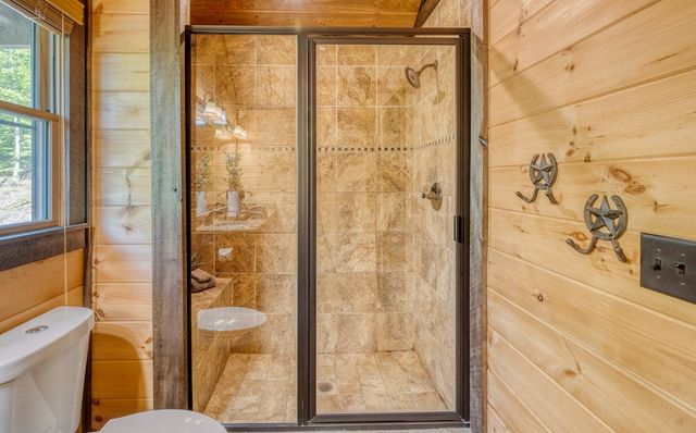 74 Hickory Hollow, Mineral Bluff, GA 30559