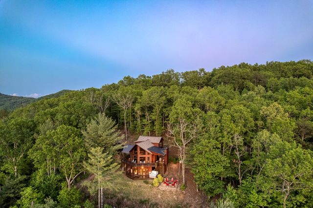 74 Hickory Hollow, Mineral Bluff, GA 30559