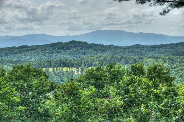 74 Hickory Hollow, Mineral Bluff, GA 30559