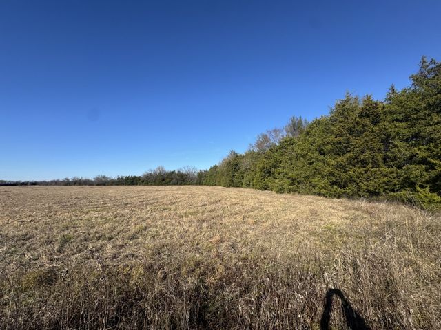 TBD Tract 11 FM 2675, Roxton, TX 75477