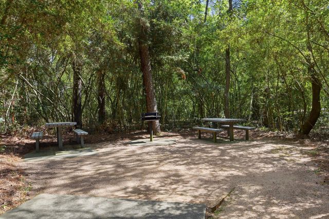 68 E Sandalbranch Circle, The Woodlands, TX 77382