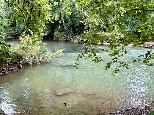 1932 Vales Mill Rd, Pulaski, TN 38478