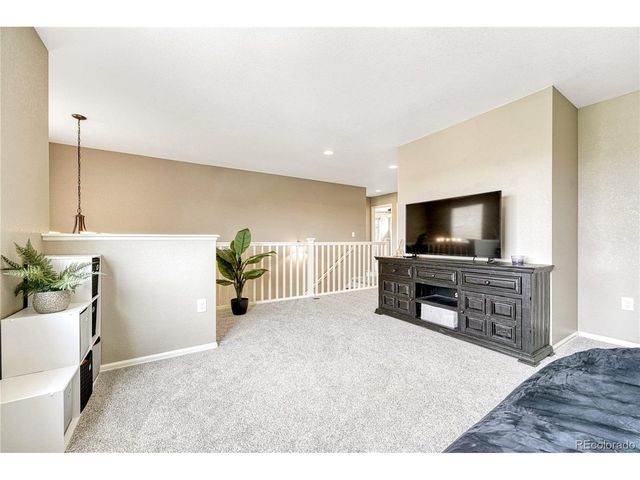 19382 Dunraven St, Parker, CO 80134