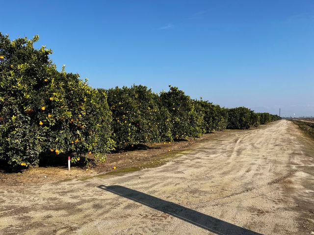 42554 N Rd 128, Orosi, CA 93647