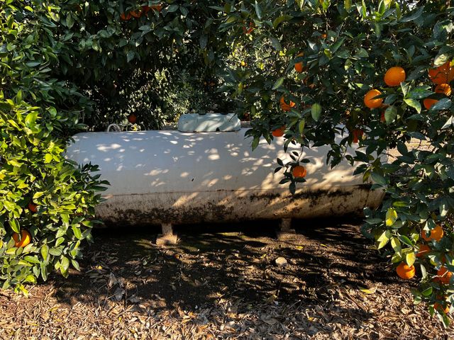 42554 N Rd 128, Orosi, CA 93647