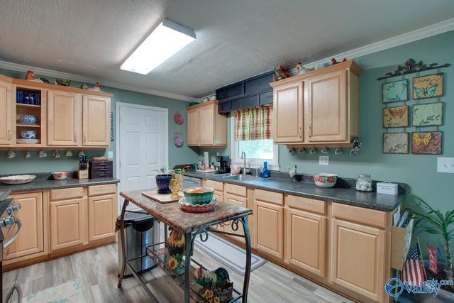 14233 Peek Drive, Athens, AL 35611