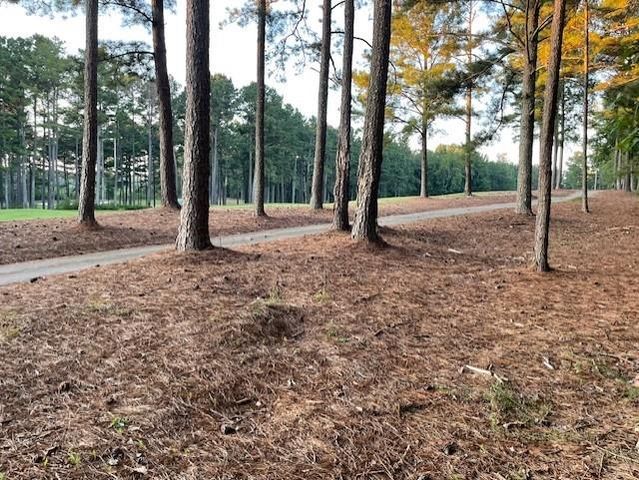 32 Duval Court, Villa Rica, GA 30180