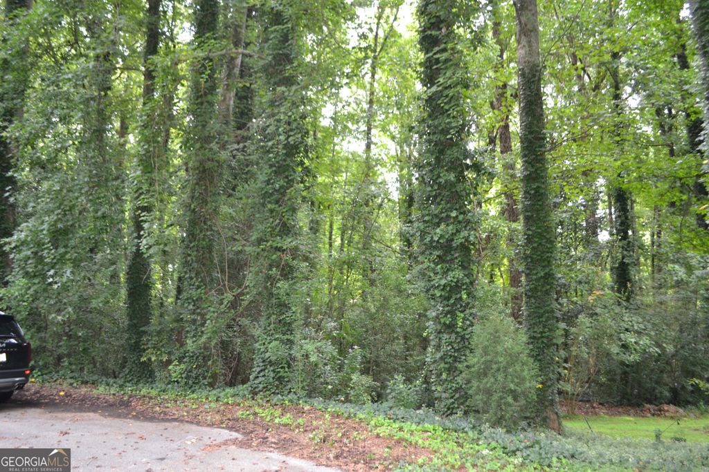 6150 S SKYLINE Drive, Douglasville, GA 30135