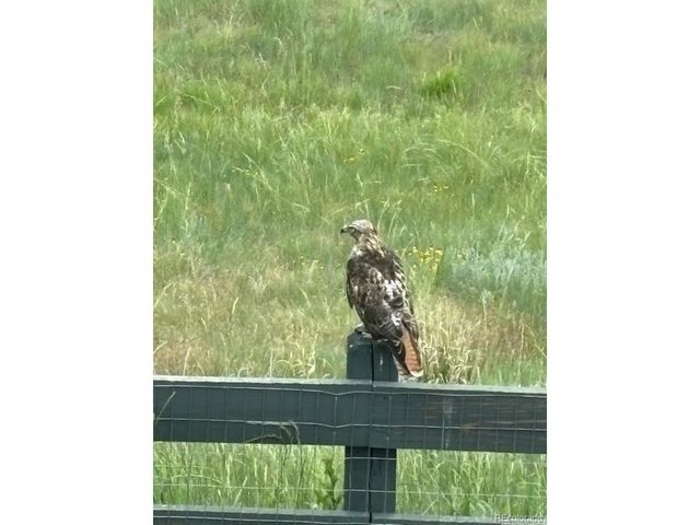 6906 Oak Canyon Cir, Castle Pines, CO 80108