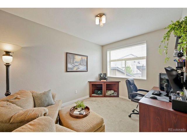 10064 Belvedere Cir, Lone Tree, CO 80124