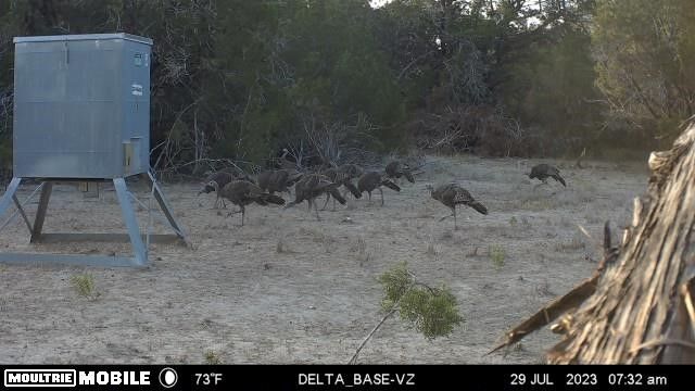 3874 County Road 421, Evant, TX 76525