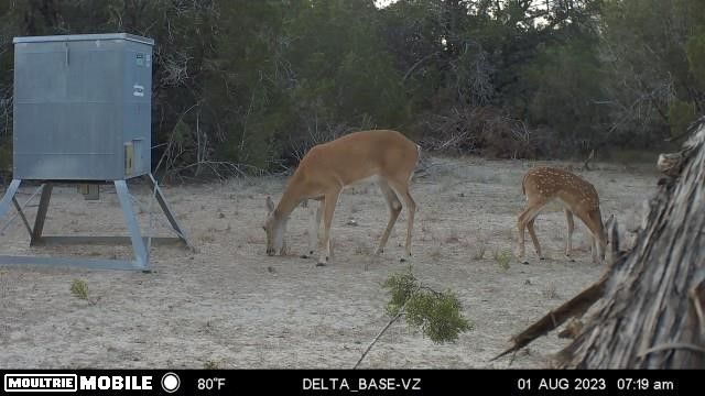 3874 County Road 421, Evant, TX 76525