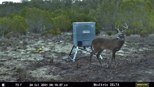 3874 County Road 421, Evant, TX 76525