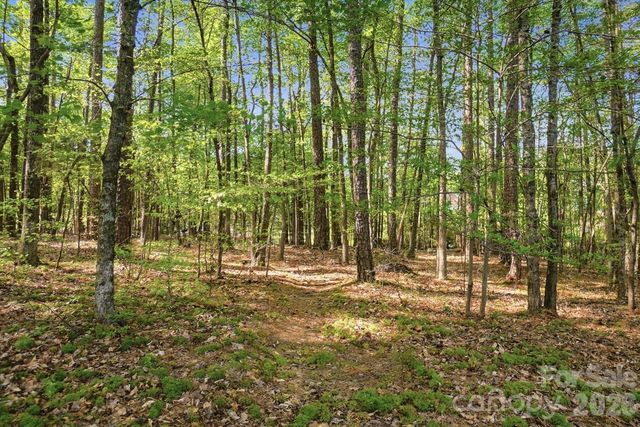 807 Crown Vista Court, Wesley Chapel, NC 28110