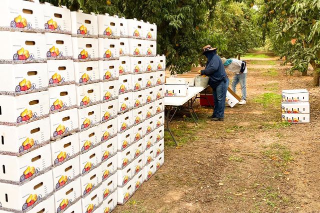 10464 State Highway 70, Marysville, CA 95901