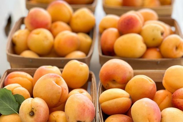 10464 State Highway 70, Marysville, CA 95901