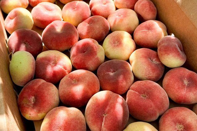 10464 State Highway 70, Marysville, CA 95901