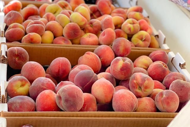 10464 State Highway 70, Marysville, CA 95901