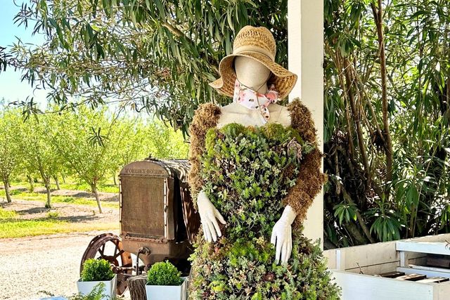 10464 State Highway 70, Marysville, CA 95901