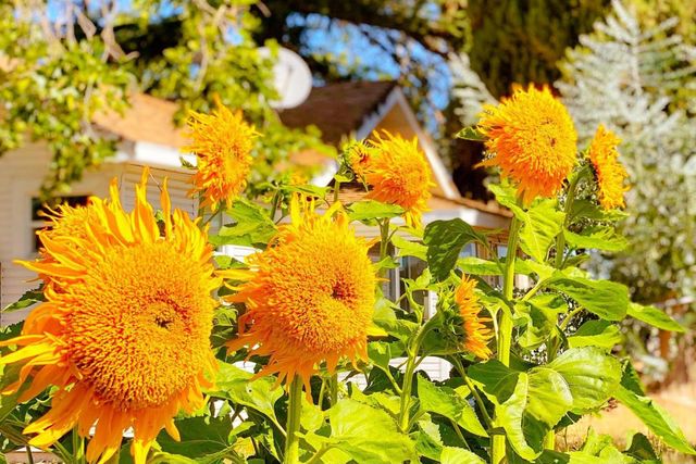 10464 State Highway 70, Marysville, CA 95901