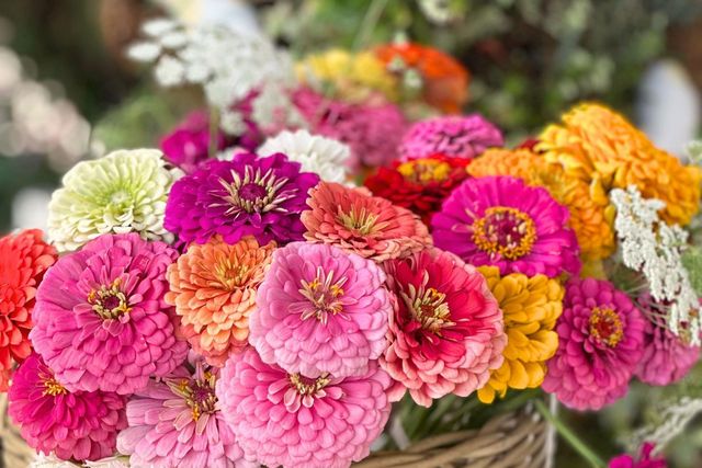 10464 State Highway 70, Marysville, CA 95901