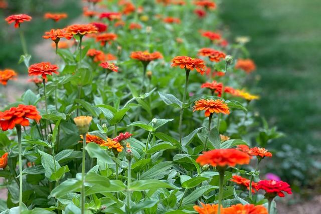 10464 State Highway 70, Marysville, CA 95901