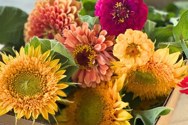 10464 State Highway 70, Marysville, CA 95901