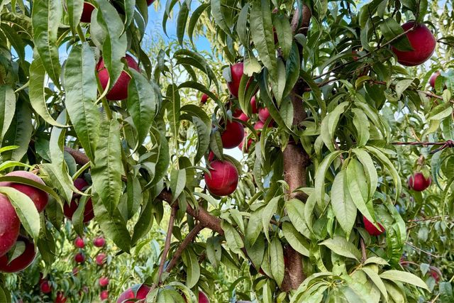 10464 State Highway 70, Marysville, CA 95901