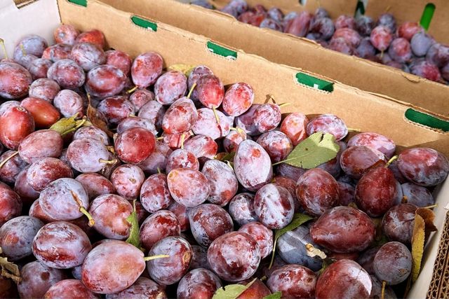 10464 State Highway 70, Marysville, CA 95901