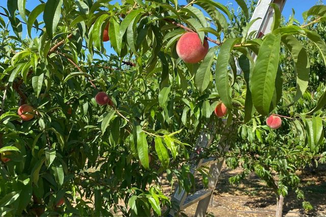 10464 State Highway 70, Marysville, CA 95901