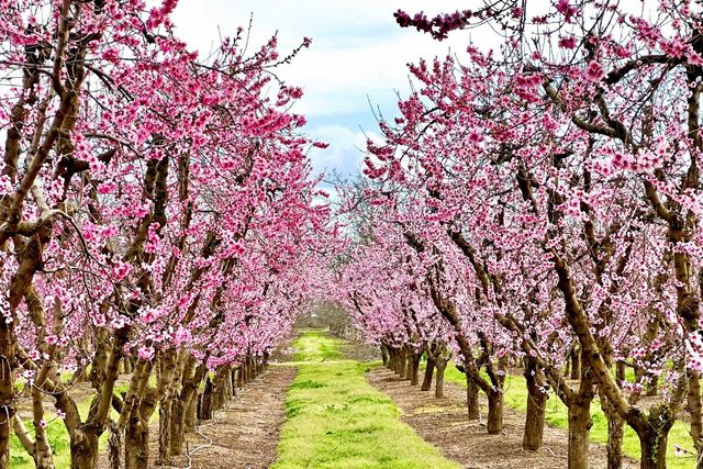 10464 State Highway 70, Marysville, CA 95901