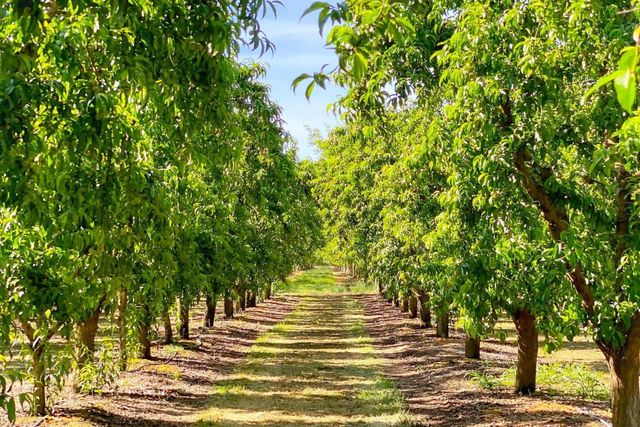 10464 State Highway 70, Marysville, CA 95901