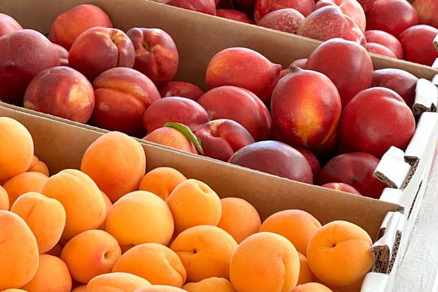 10464 State Highway 70, Marysville, CA 95901