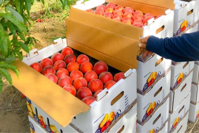 10464 State Highway 70, Marysville, CA 95901