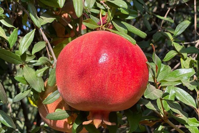 10464 State Highway 70, Marysville, CA 95901