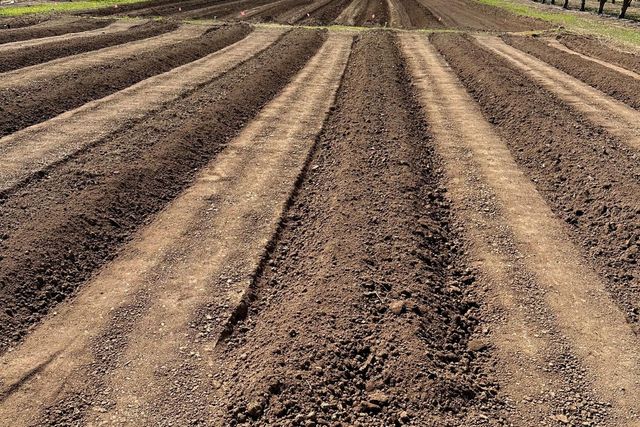 10464 State Highway 70, Marysville, CA 95901