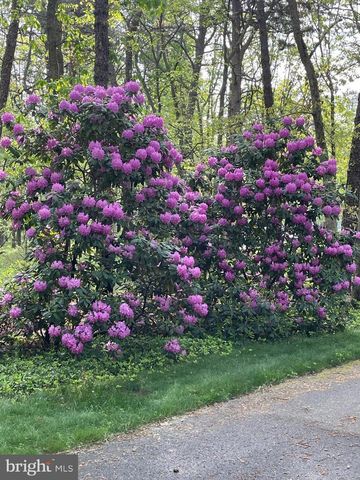 65 BORTONS RD, Marlton, NJ 08053