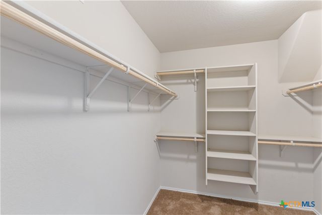 6313 Dorothy Muree Drive, Temple, TX 76502