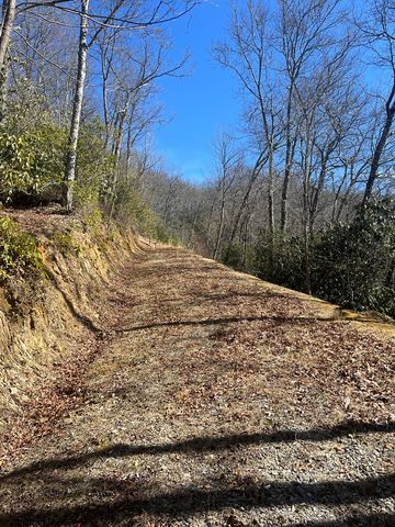 Lot 19 Preserve Valley Road, Topton, NC 28781