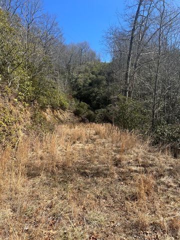 Lot 19 Preserve Valley Road, Topton, NC 28781