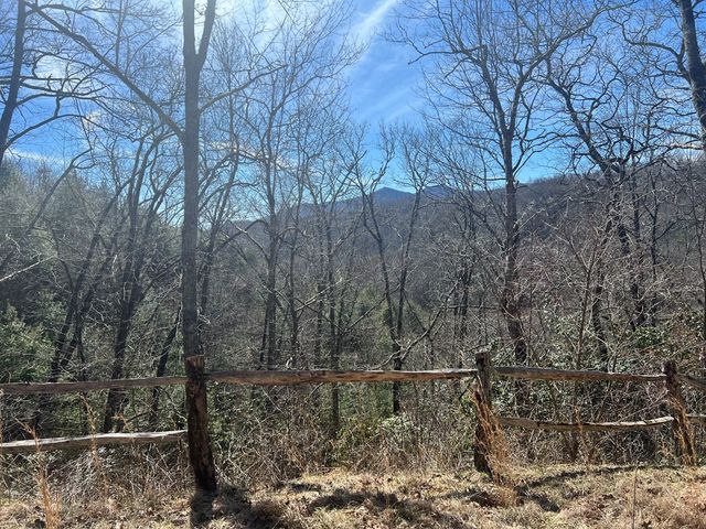 Lot 19 Preserve Valley Road, Topton, NC 28781