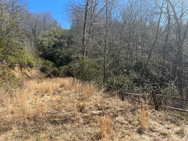 Lot 19 Preserve Valley Road, Topton, NC 28781