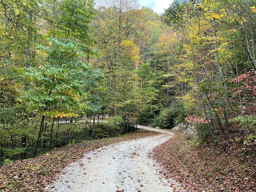 Lot 19 Preserve Valley Road, Topton, NC 28781