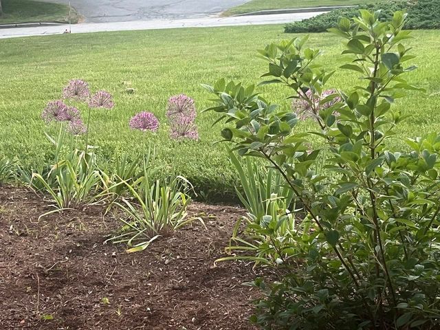 13 Westridge Drive # 13, Peterborough, NH 03458