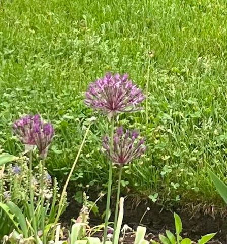 13 Westridge Drive # 13, Peterborough, NH 03458