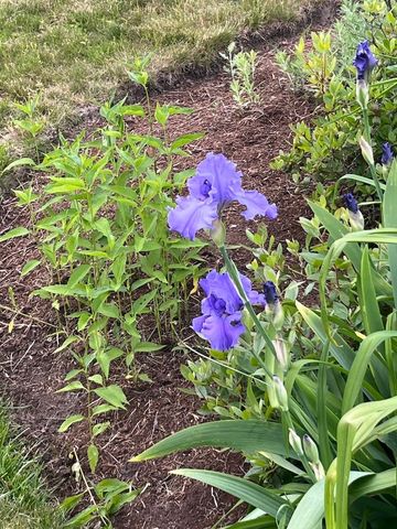 13 Westridge Drive # 13, Peterborough, NH 03458