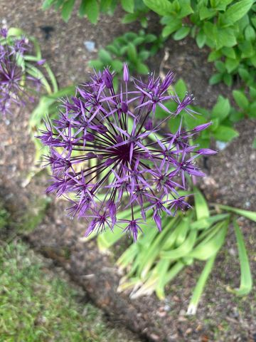 13 Westridge Drive # 13, Peterborough, NH 03458