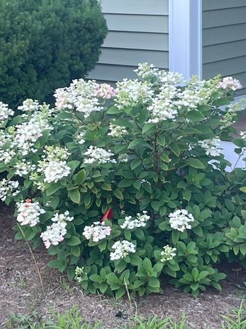 13 Westridge Drive # 13, Peterborough, NH 03458